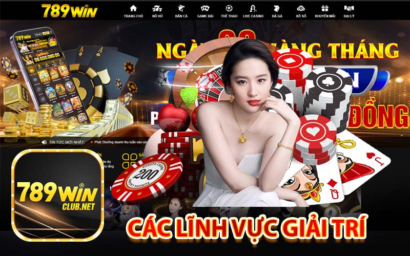 Các lĩnh vực giải trí