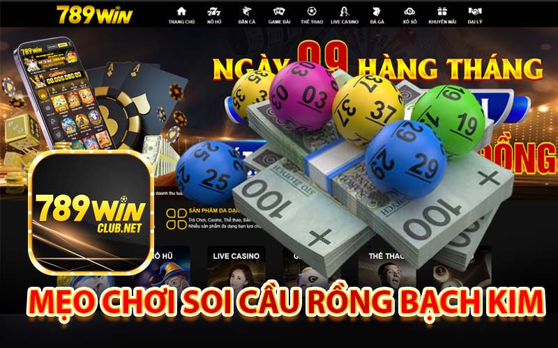 Mẹo chơi soi cầu rồng bạch kim