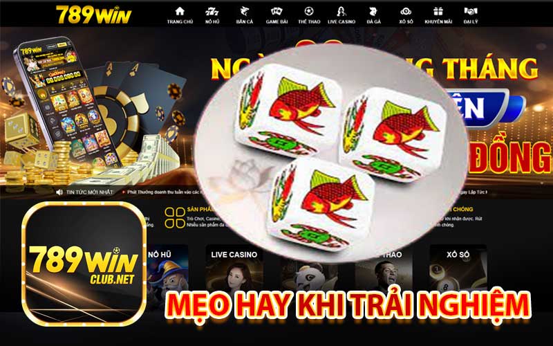 Mẹo hay khi trải nghiệm