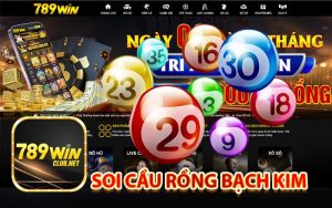 Soi cầu rồng bạch kim