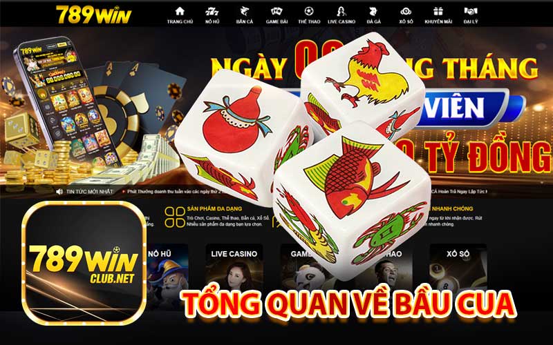 Tổng quan về bầu cua