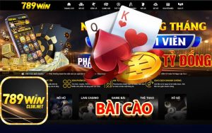 Bài Cào