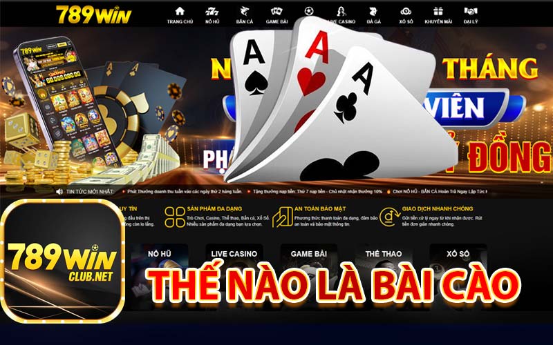 Thế nào là Bài Cào